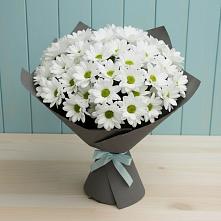 Букет цветов из:  Хризантемы в Ховрино