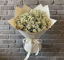Букет цветов из:  Ромашки #REPLACE_PRED# Ховрино