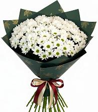 Букет цветов из:  Хризантемы #REPLACE_PRED# Ховрино