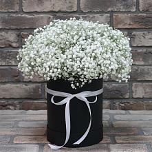 Цветочная композиция из Гипсофила в шляпной коробке в Ховрино